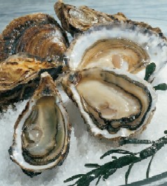 Huitres sur glace